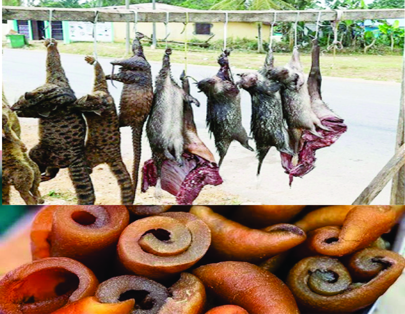 Bush Meat and Ponmo (hides)