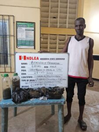 Drug suspect, Igboma Ifeanyi conceals illicit drugs weighing 7.8kg in 66 bottles of skin lightening lotion