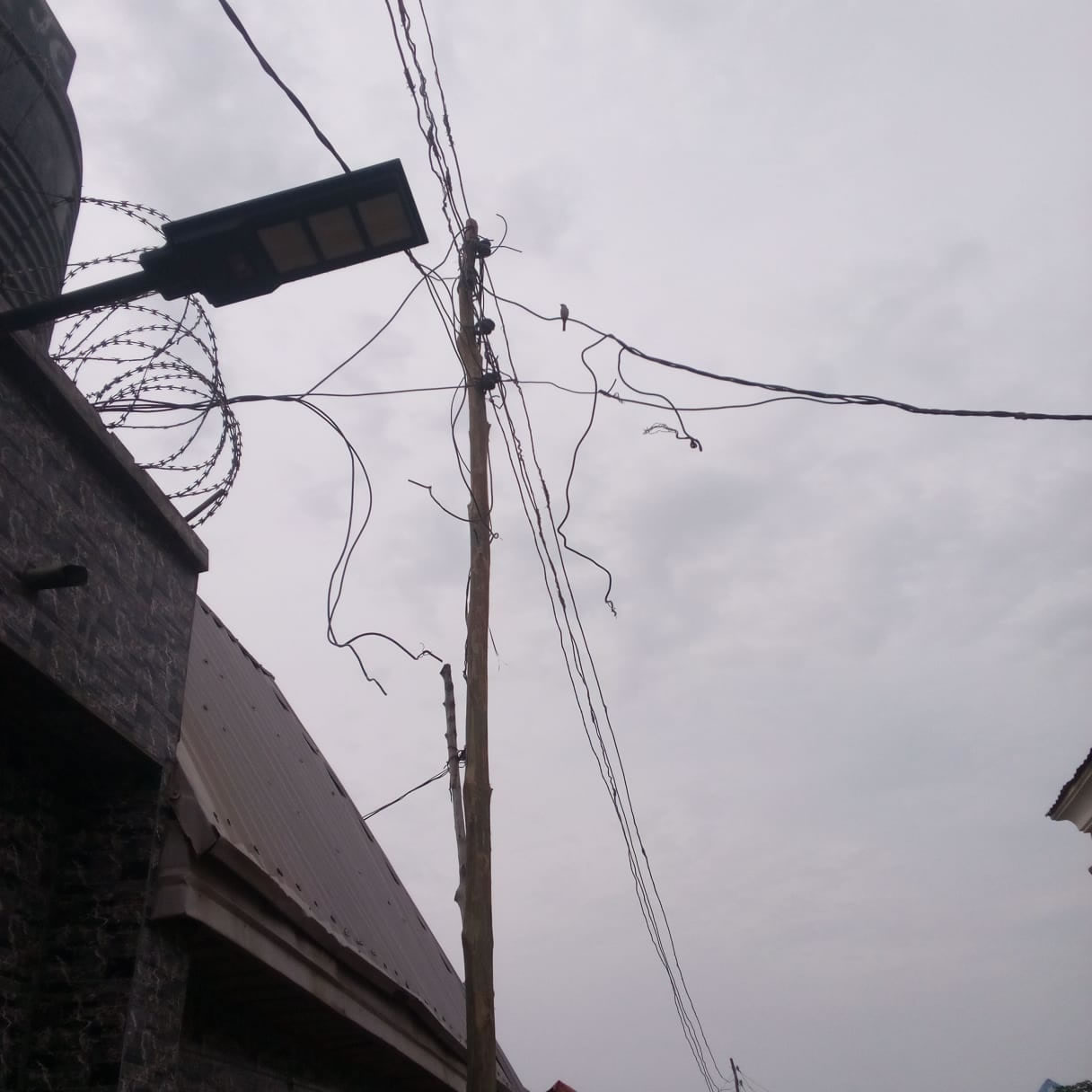 Concerned Nigerians raises alarm over alleged plot to rig 2019 elections