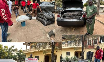 NDLEA Intercept Drugs in-Kogi