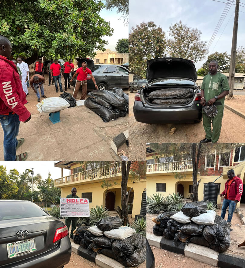 NDLEA Intercept Drugs in-Kogi